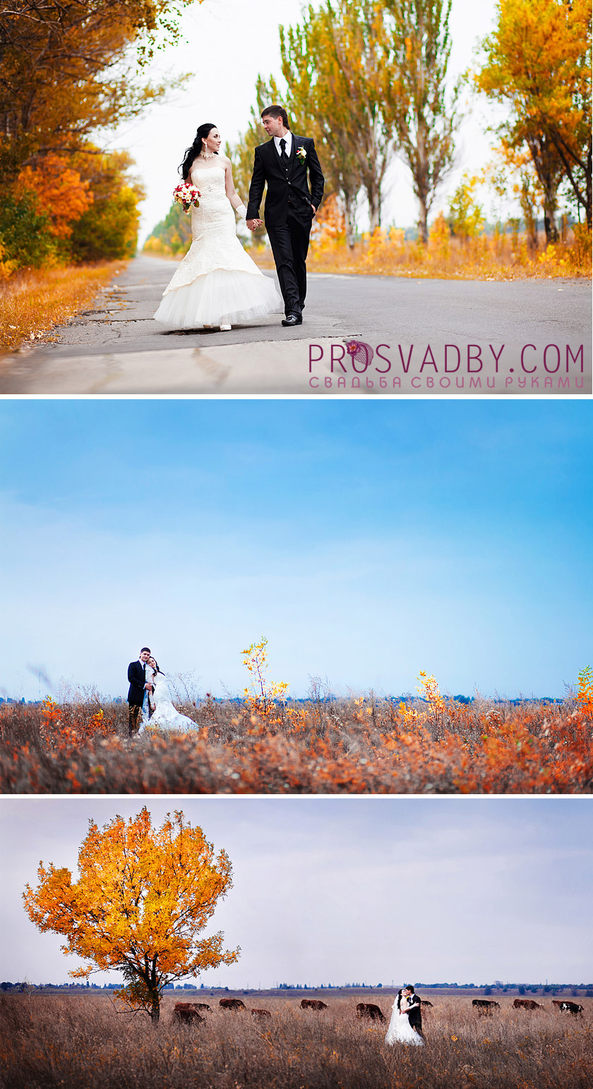 Свадебная фотосессия осенью: свежие идеи и советы
