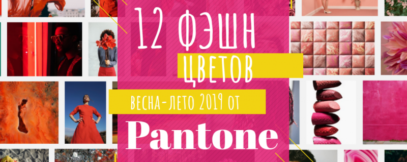 12 фэшн цветов, которые вы увидите на свадьбах весной и летом 2019 12 фэшн цветов, которые вы увидите на свадьбах весной и летом 2019